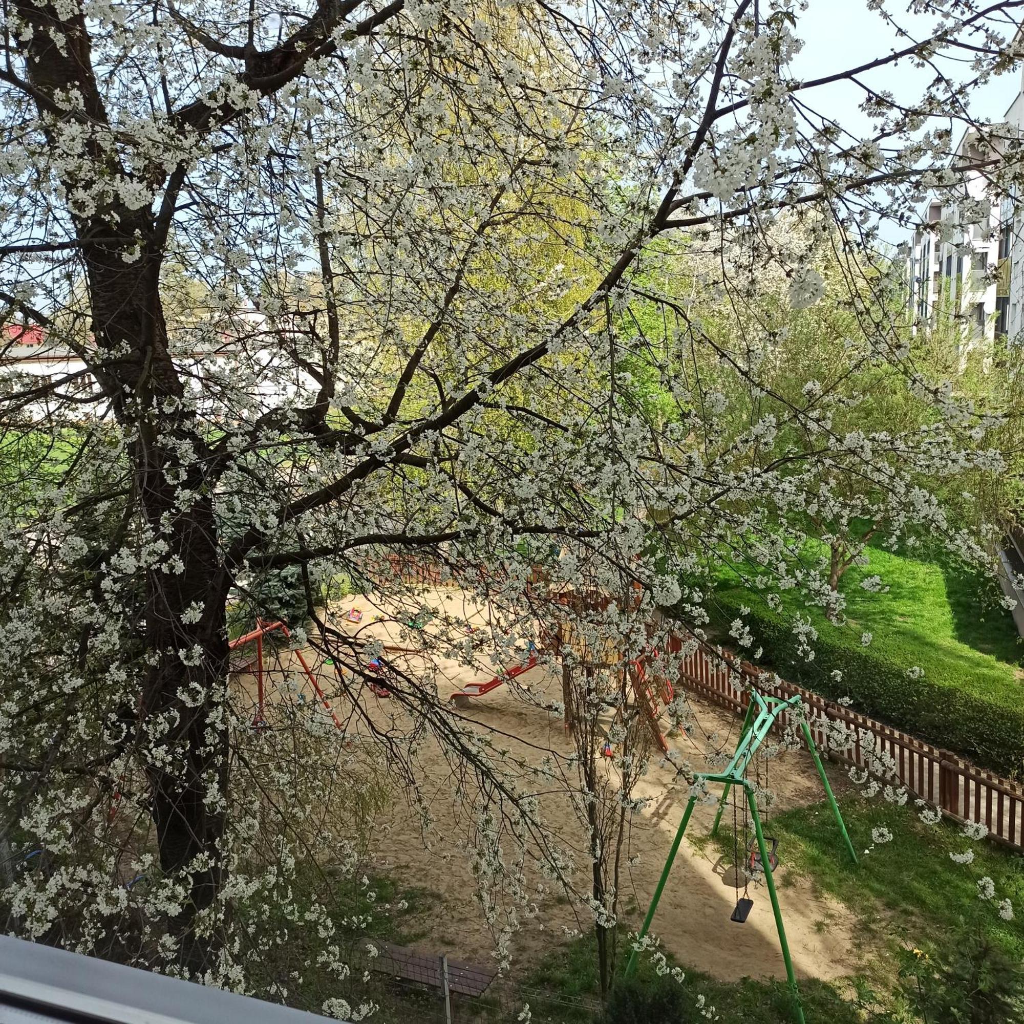 Apartament Dunikowskiego 57M2 Λούμπλιν Εξωτερικό φωτογραφία
